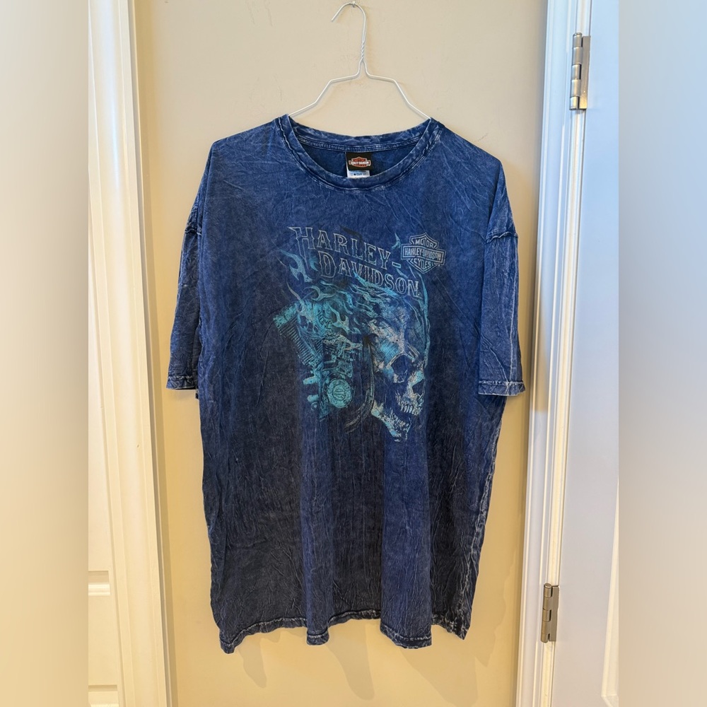 Harley-Davidson Men's Blue Graphic Skull Tee size 2XL